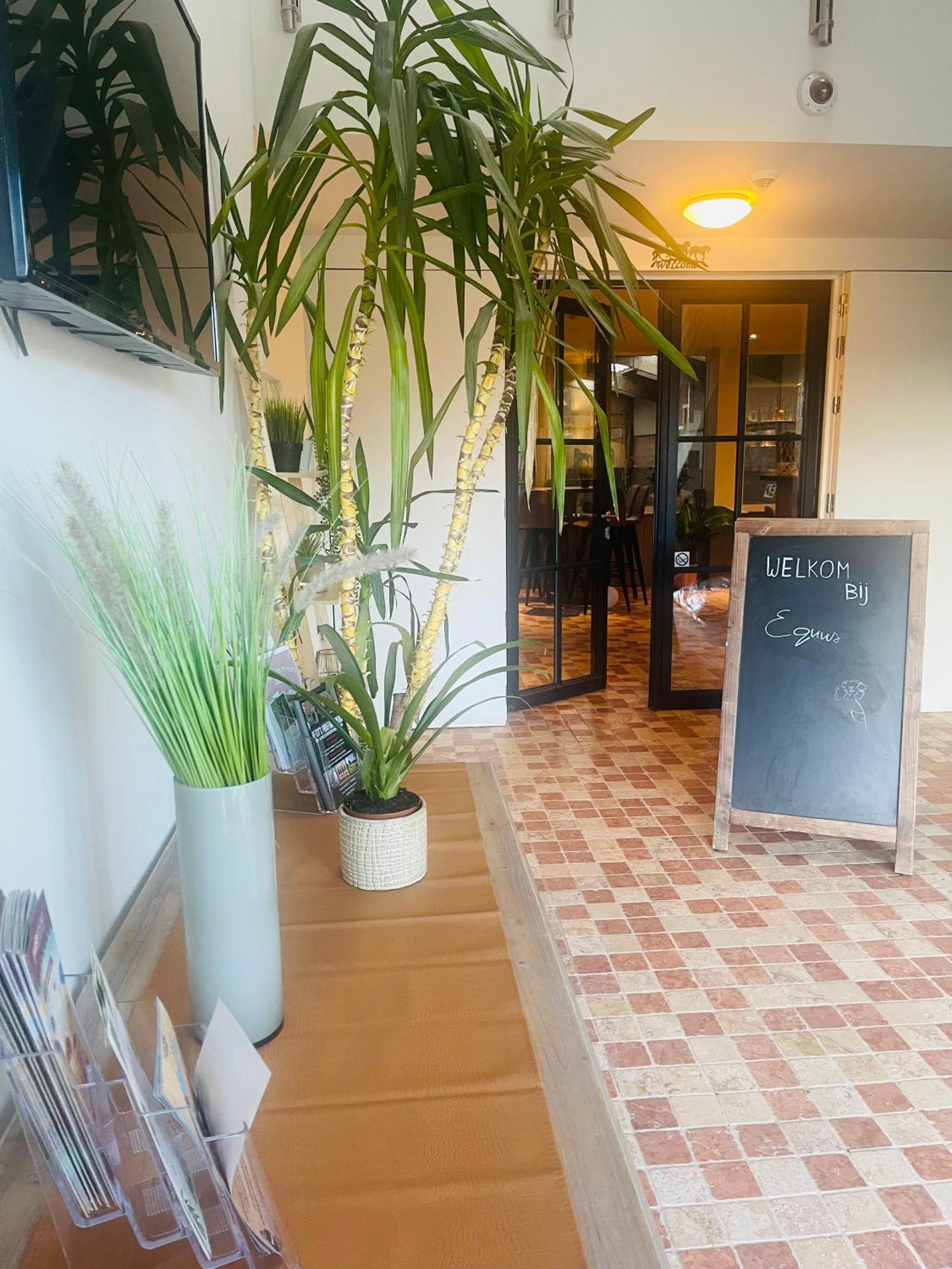 Equus B&B Bredene Kültér fotó